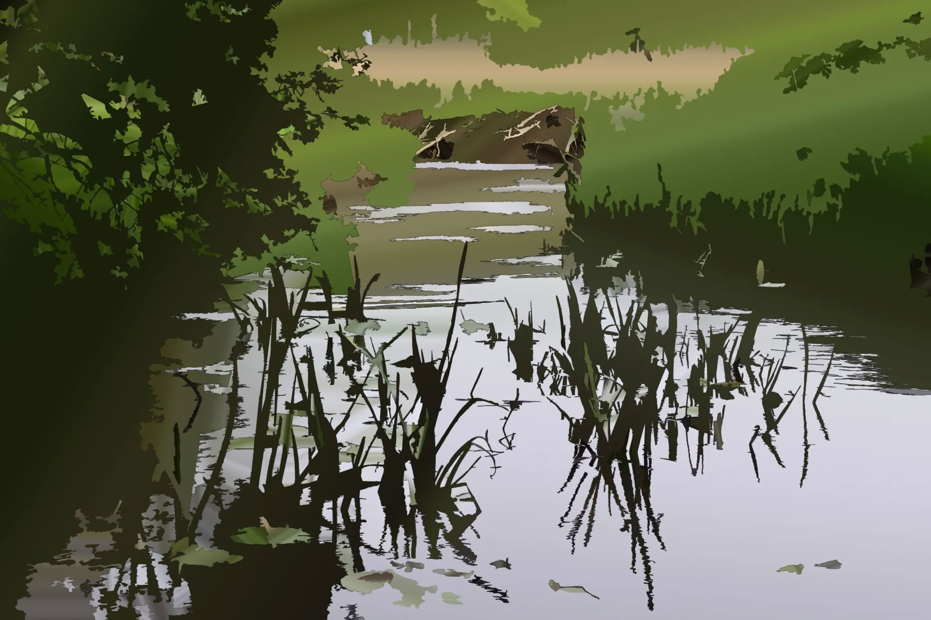 Beaver dam in a ditch with aquatic plants in front. Drenthe, the Netherlands