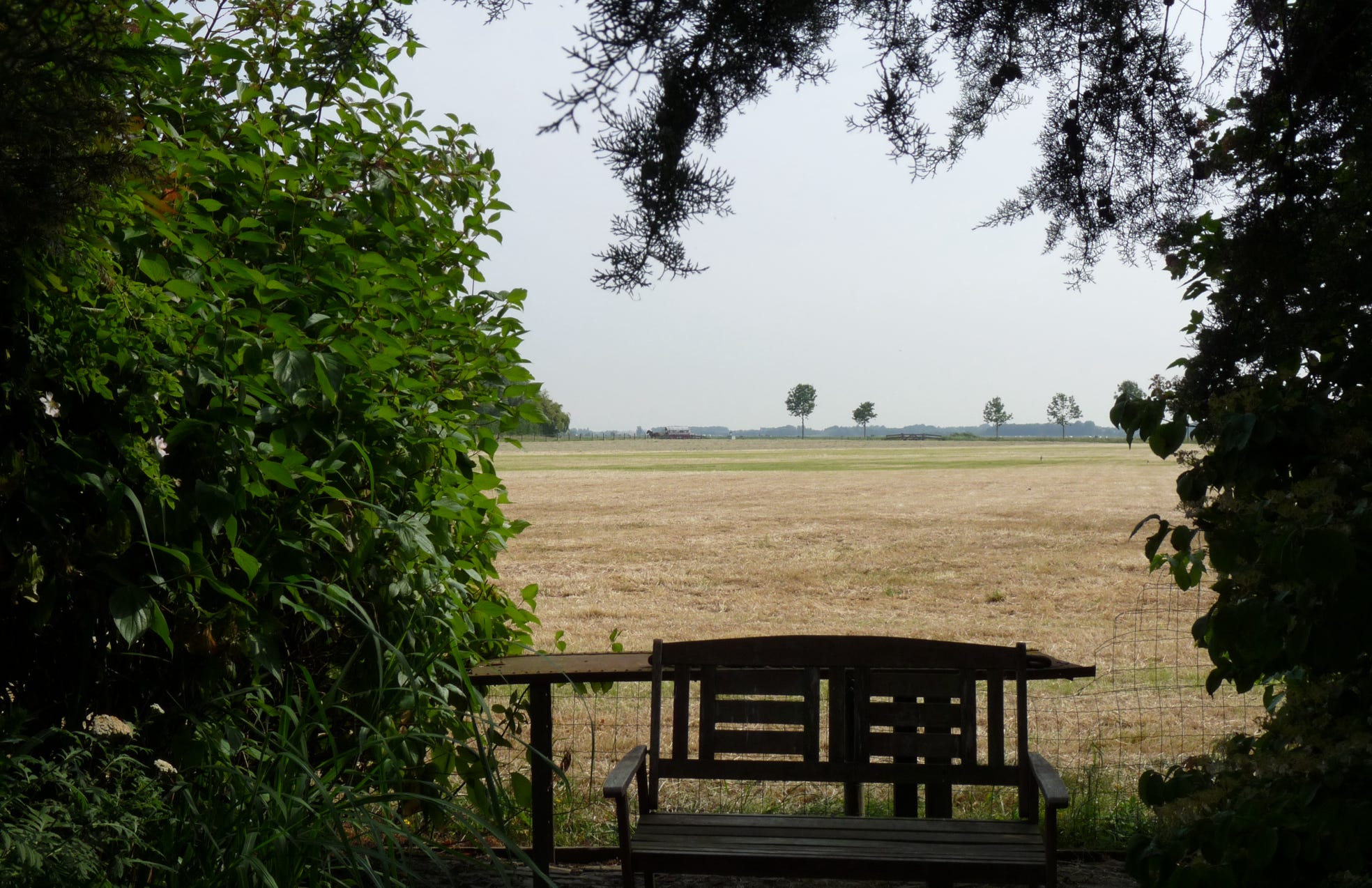 View throug,h Sequoiahof Vlake