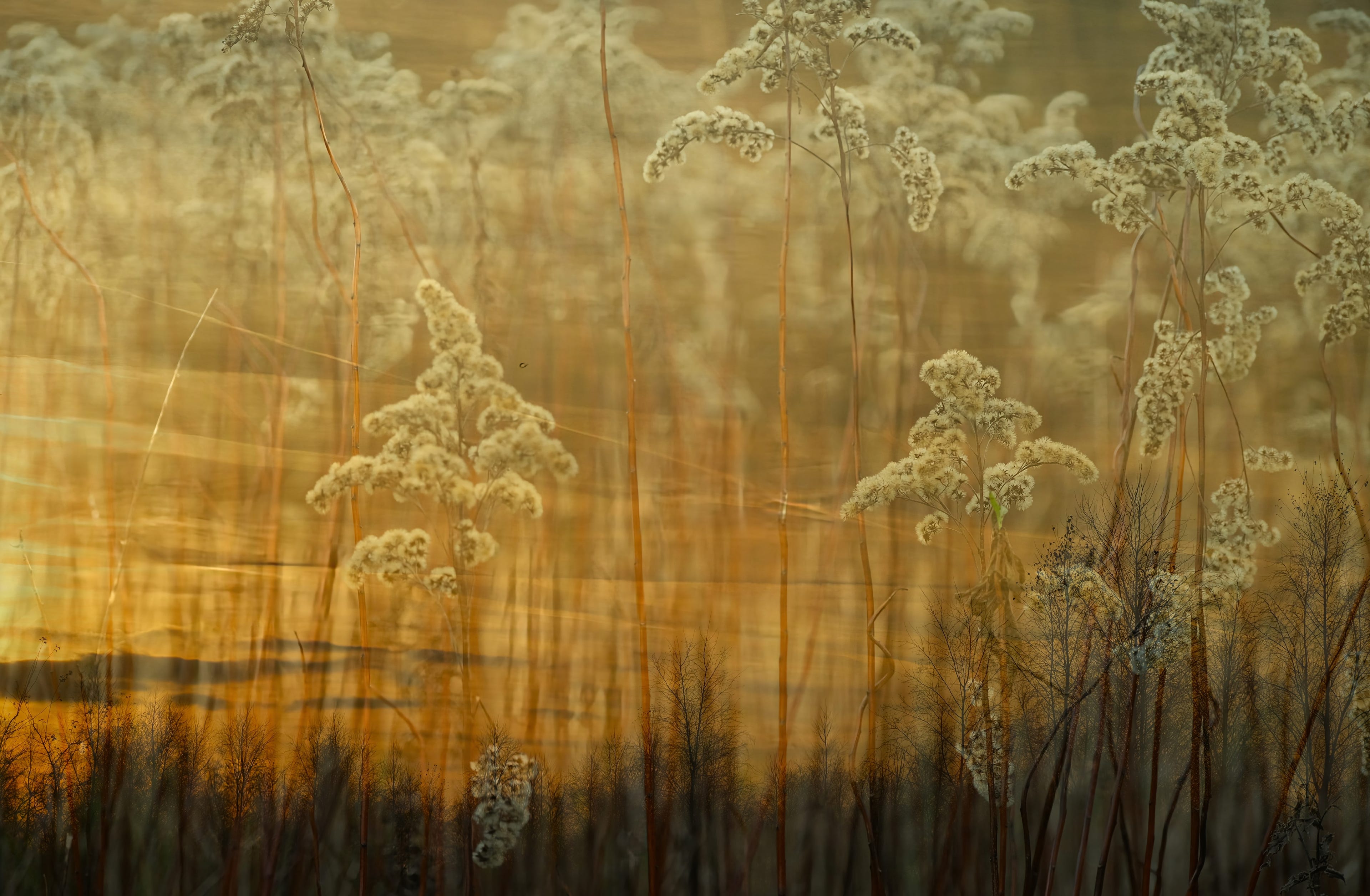 Photo Nienke Meijer
