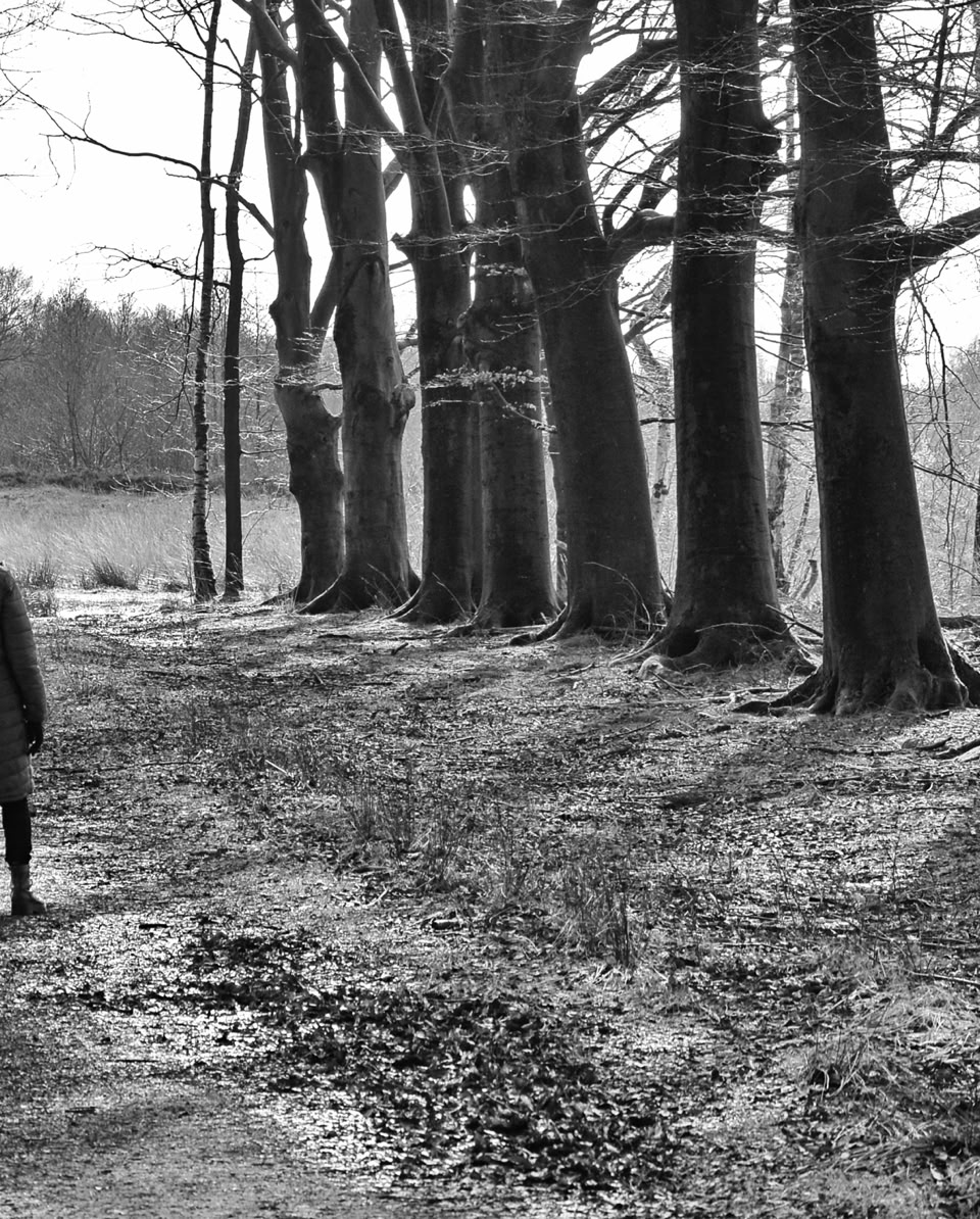 Looking to a friend in the wood