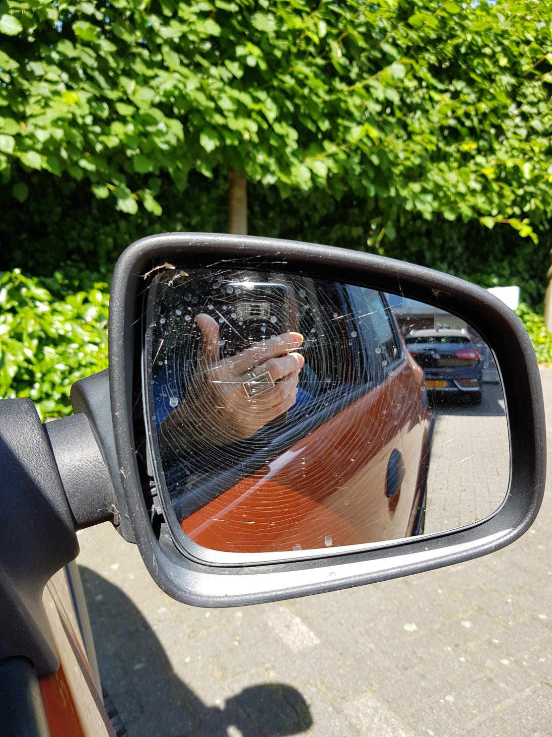 Spider web in the car mirror