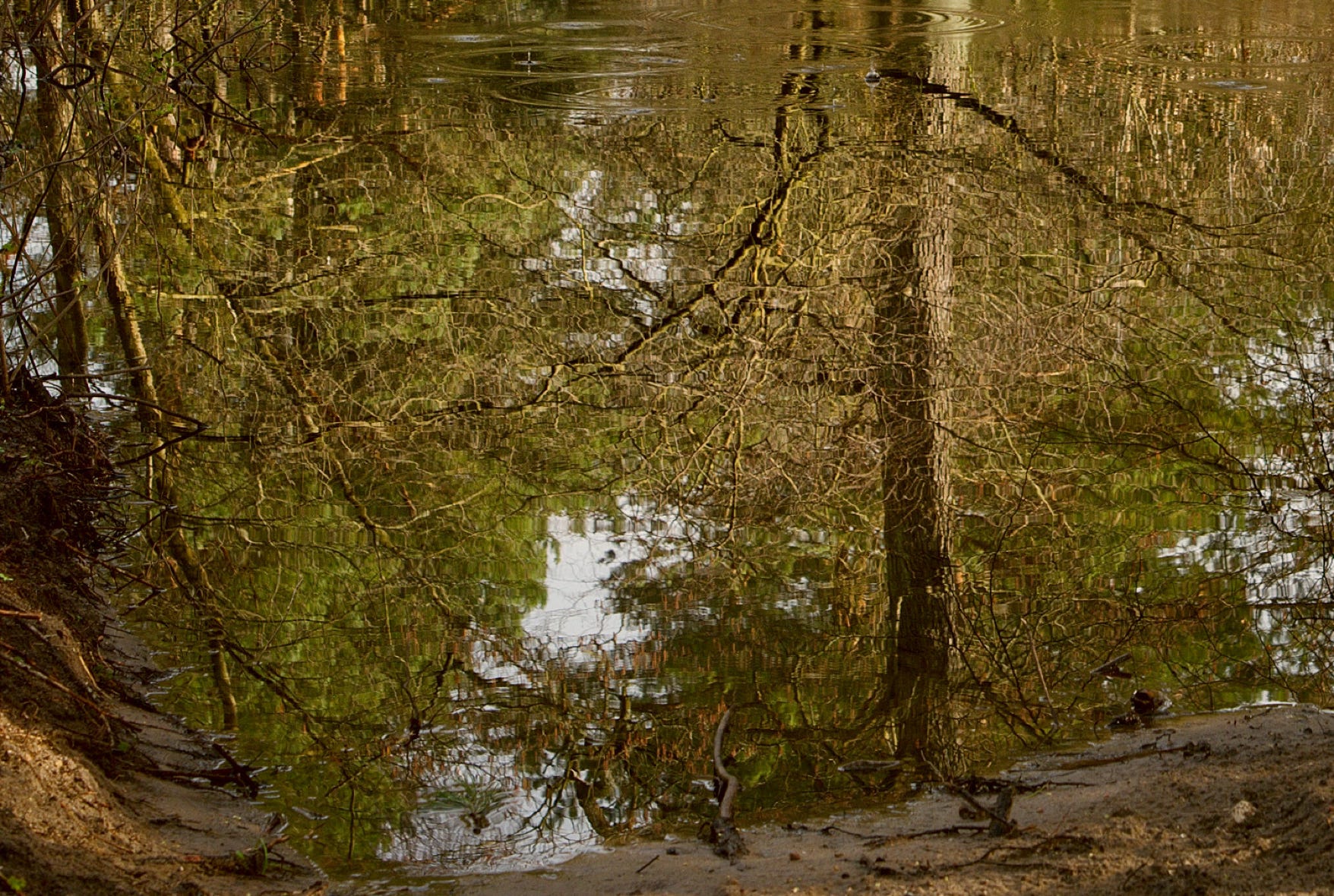 Bug Landscape Park -  Nabużański Park Krajobrazowy