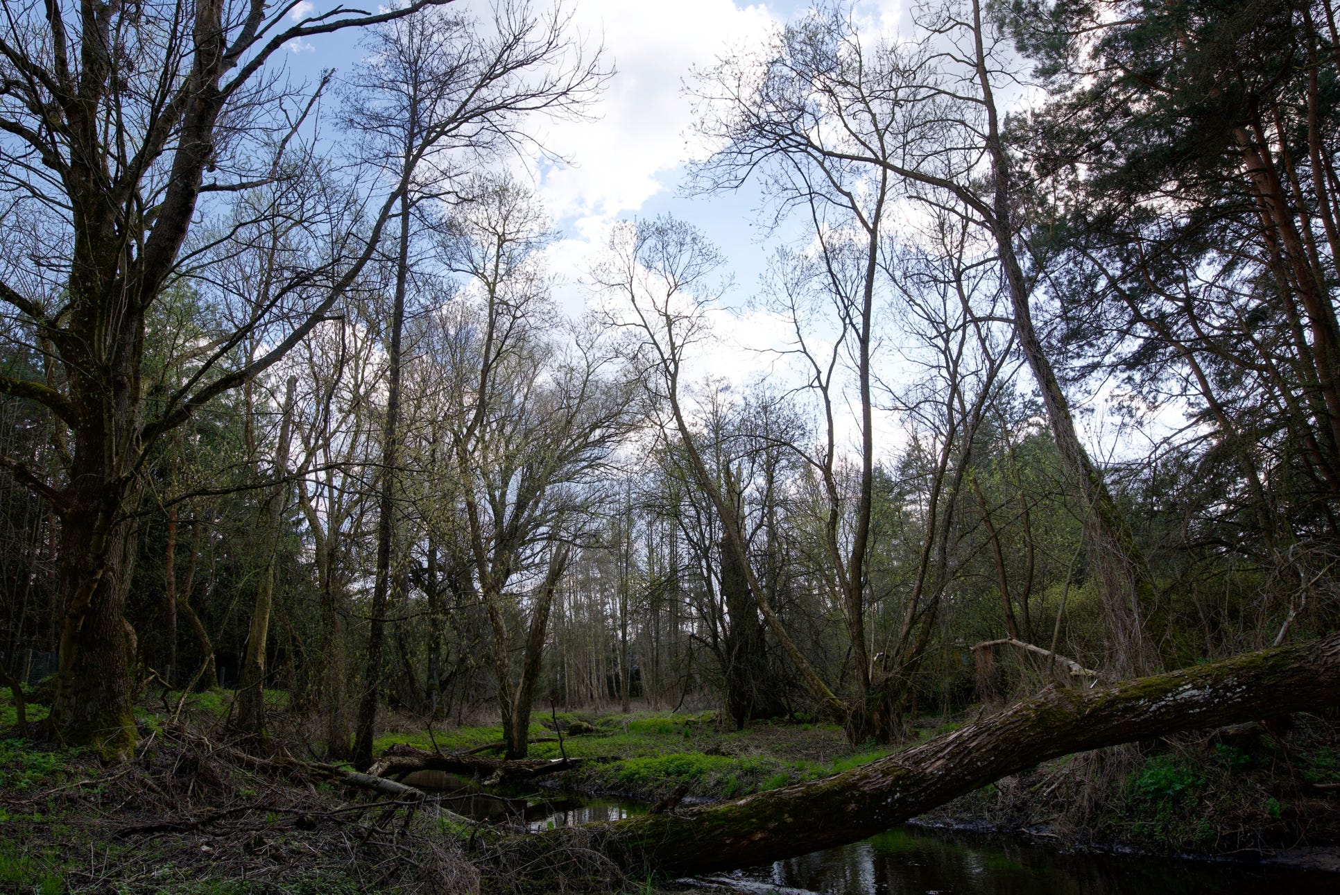 Bug Landscape Park -  Nabużański Park Krajobrazowy