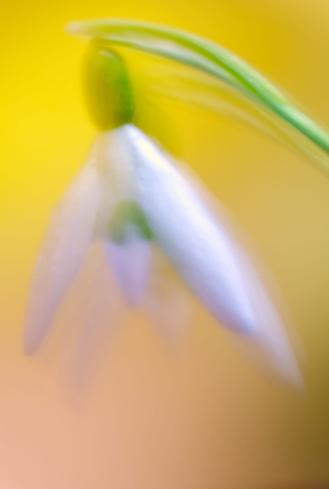 Photo Nienke Meijer