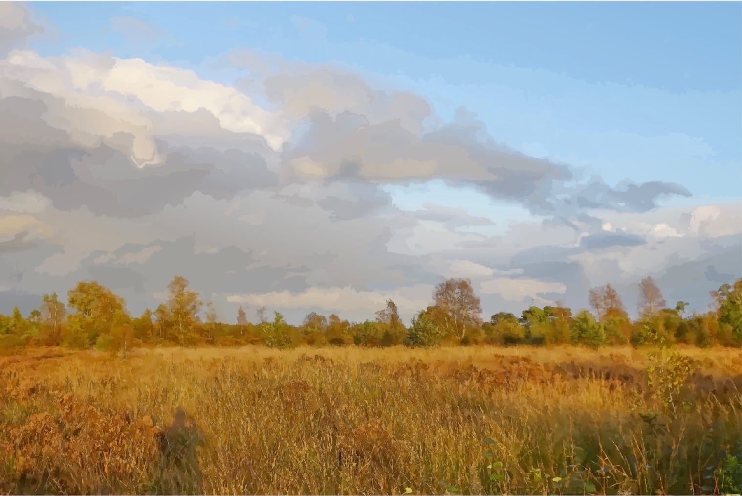 Vectorized image of a landscape in Huis ter Heide, Drenthe, Netherlands