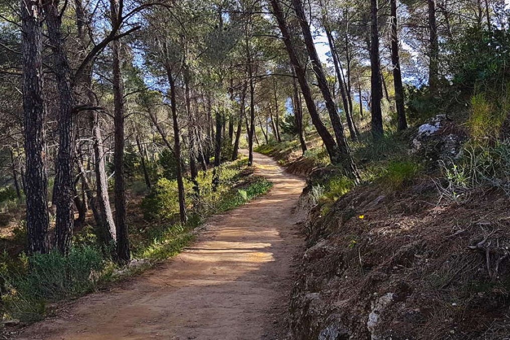 Sandy path through the mountains, Greece