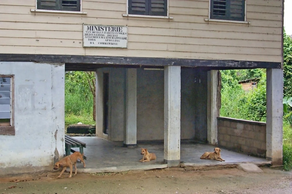 Building with dogs in Commewijne, Surinam.