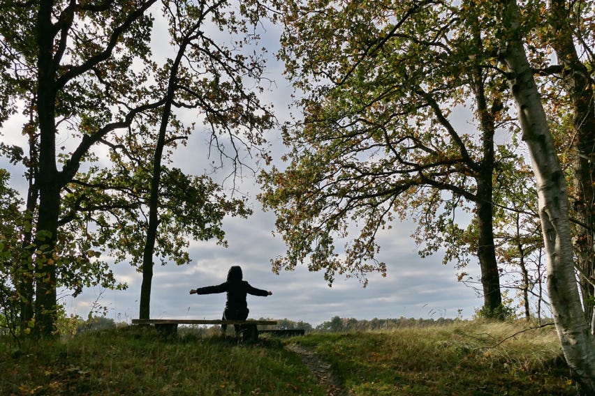 Woman sitting on a bench in the Gasterense Duinen, `Drenthe, Netherlands